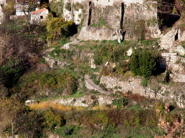 Les Plans (Hérault) Les Plans Haut, vestiges du château