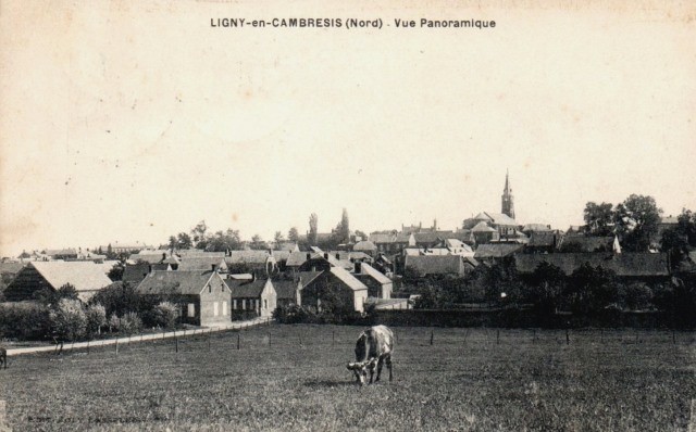 Ligny en cambresis 59 vue panoramique cpa