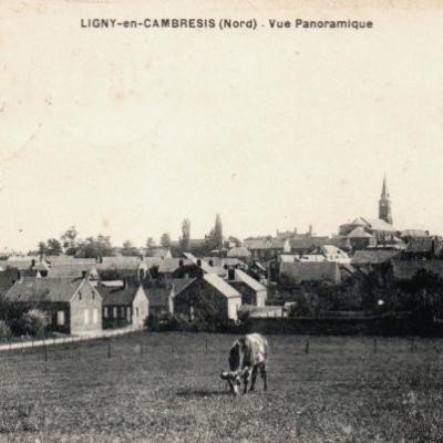 Ligny-en-Cambrésis (59)