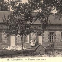 Limpiville seine maritime ferme cpa