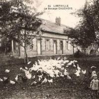 Limpiville seine maritime ferme cpa
