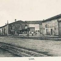 Lion devant dun meuse cpa