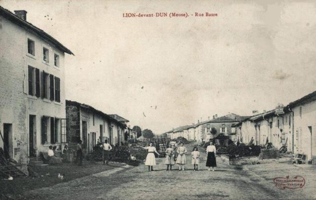 Lion devant dun meuse la rue basse cpa