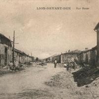Lion devant dun meuse la rue basse cpa