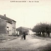 Lion devant dun meuse la rue de l ecole 