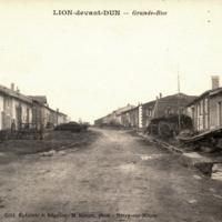 Lion devant dun meuse la rue grande