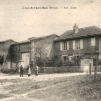 Lion devant dun meuse la rue haute cpa