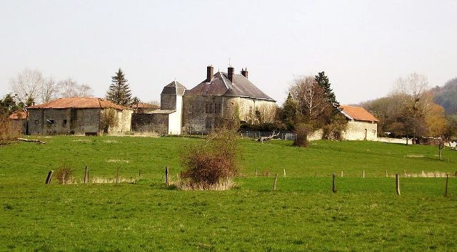 Lion devant dun meuse le chateau