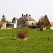 Lion devant dun meuse le chateau