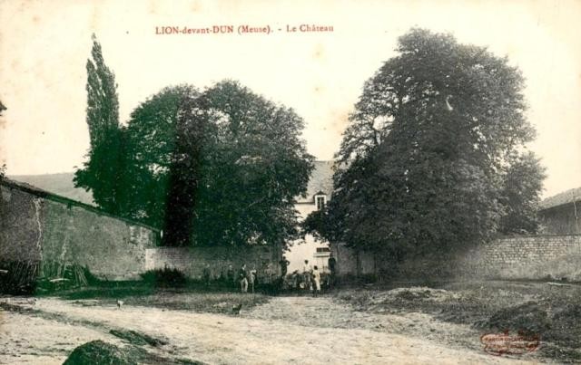 Lion devant dun meuse le chateau en 1915 cpa