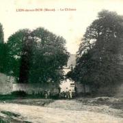 Lion devant dun meuse le chateau en 1915 cpa