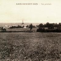 Lion devant dun meuse vue generale cpa