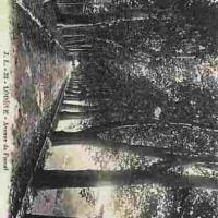 Avenue de Fumel, cpa