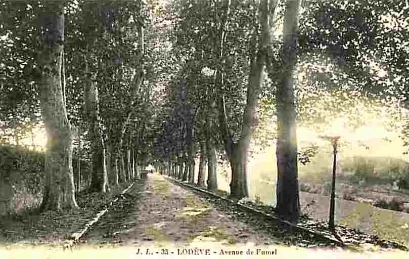 Lodève (Hérault) L'avenue de Fumel CPA