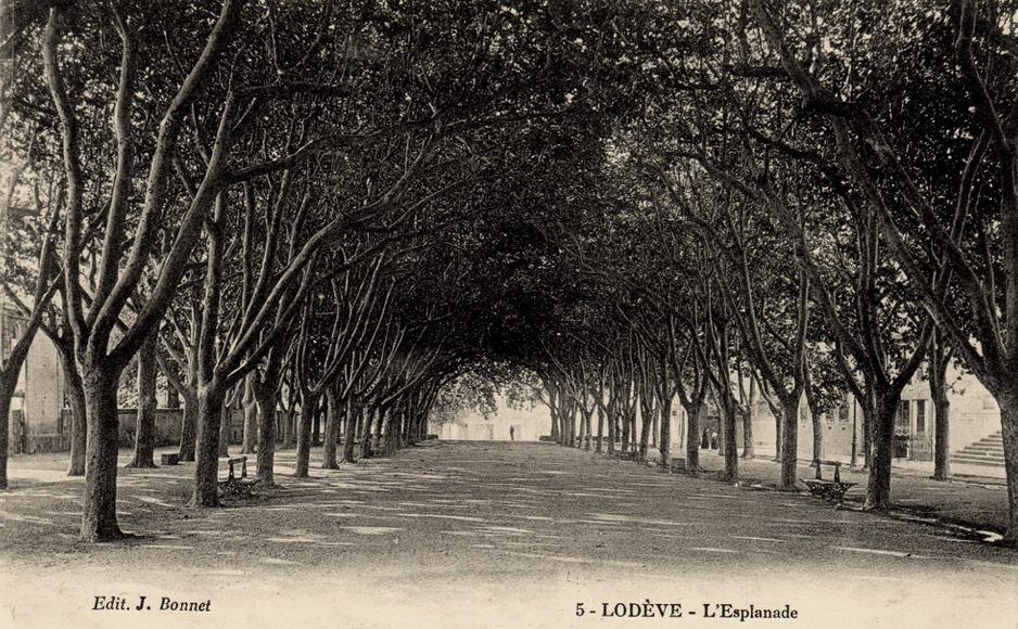 Lodève (Hérault) L'esplanade CPA