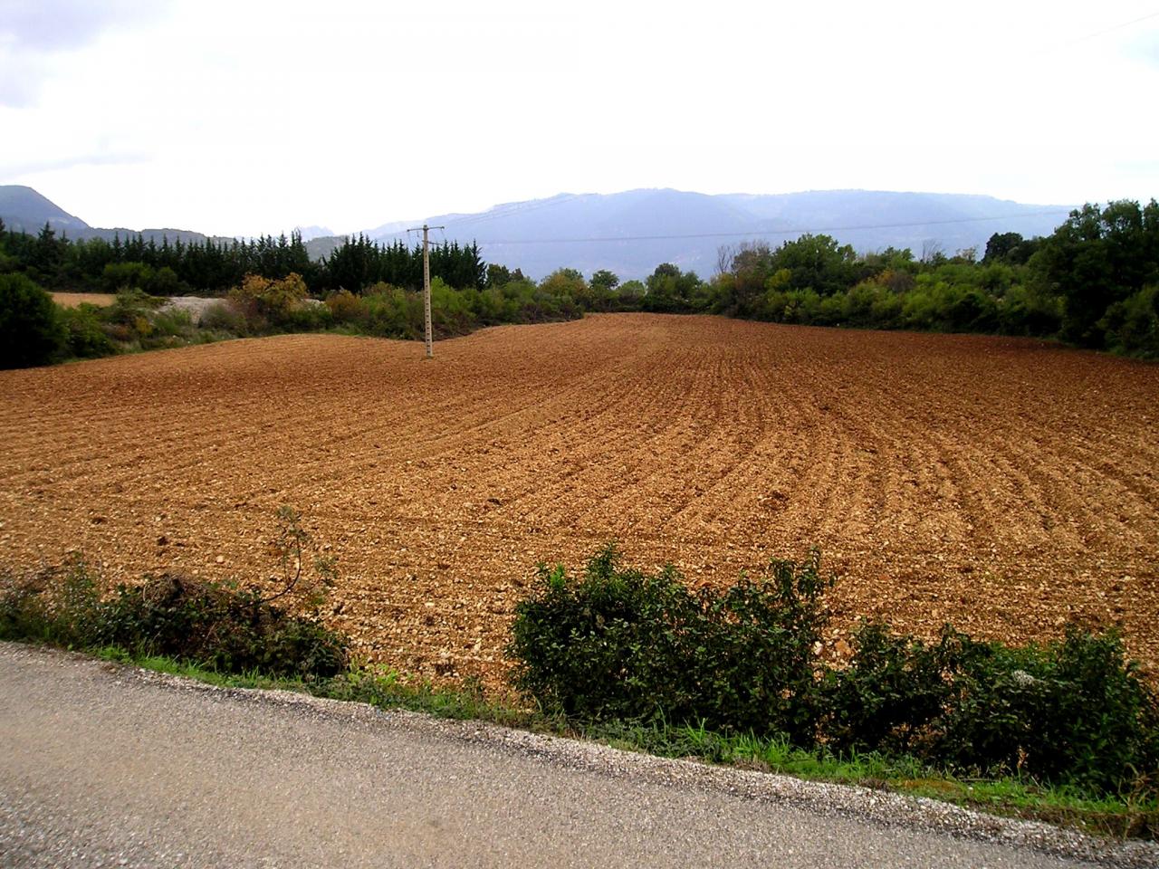 Lodève, mon héritage l'ancienne vigne des Grasseries en 2005