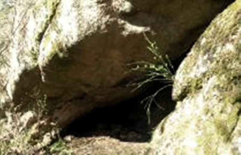 Lormes (Nièvre) La Grotte aux fées