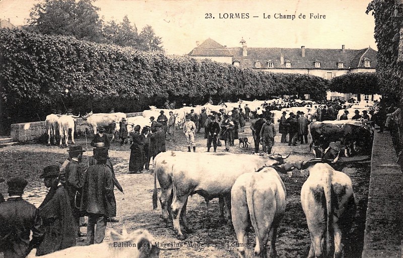 Lormes (Nièvre) Le Champ de Foire CPA