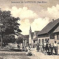 Lupstein 67 cpa
