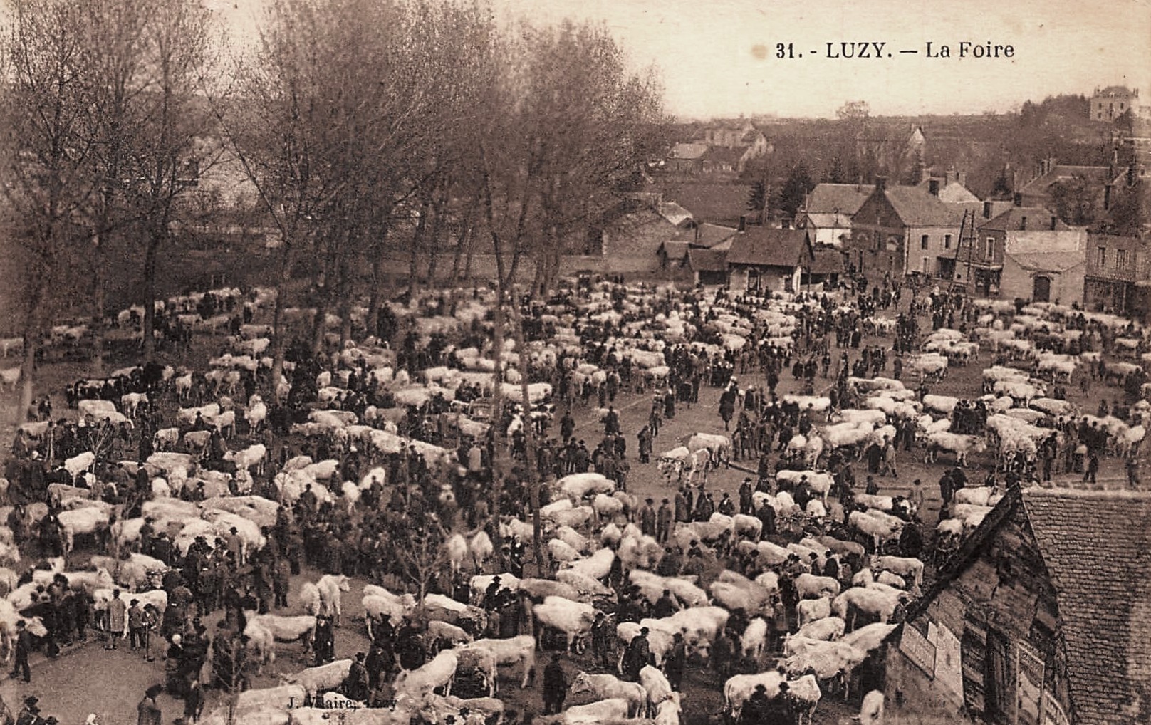 Luzy (Nièvre) La foire CPA