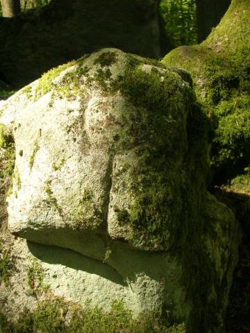 Luzy (Nièvre) Roches gravées du Mont Dosne