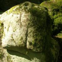 Roches gravées du Mont Dosne