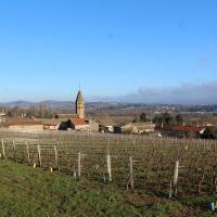 Mâcon (71) Loché