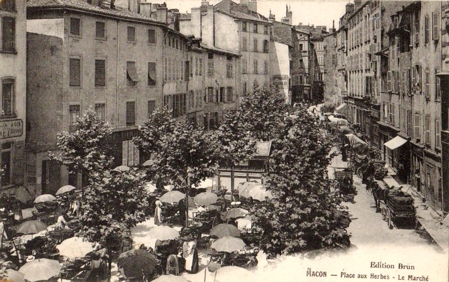 Mâcon (71) Place aux Herbes CPA