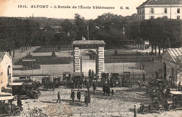 Maisons alfort val de marne l ecole veterinaire cpa