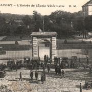 Maisons alfort val de marne l ecole veterinaire cpa