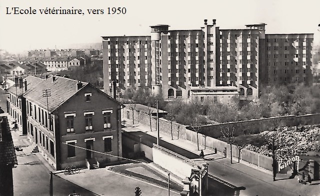 Maisons alfort val de marne l ecole veterinaire cpa