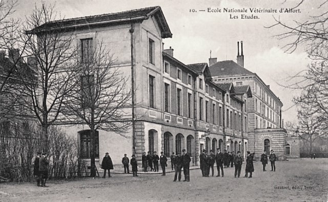 Maisons alfort val de marne l ecole veterinaire cpa