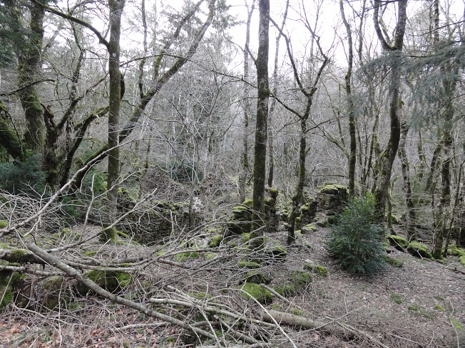 Mélagues (Aveyron) Proudoumat, les ruines