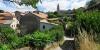Montagnol (12)