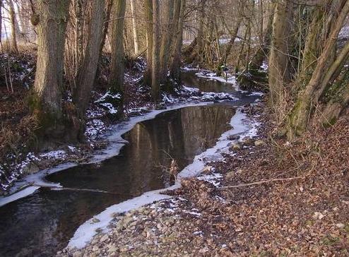 Montfaucon (Aisne) Ru des Charfions