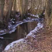 Montfaucon (Aisne) Ru des Charfions