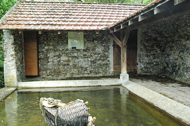 Montlevon (Aisne) un lavoir