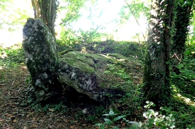 Montmirail (51) Les vestiges du dolmen du Trou du Boeuf