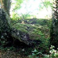 Montmirail (51) Les vestiges du dolmen du Trou du Boeuf