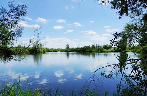 Mouzay (Meuse) L'étang