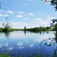 Mouzay (Meuse) L'étang