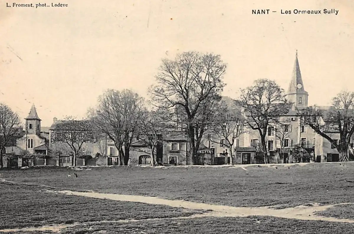 Les ormeaux de Sully
