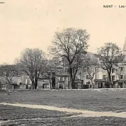 Les ormeaux de Sully