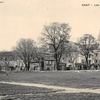 Les ormeaux de Sully