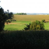 Neuville bosc oise l eglise autour 