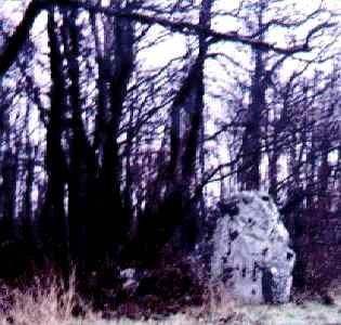 Neuville bosc oise menhir de la pierre aux coqs