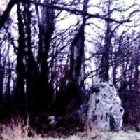 Neuville bosc oise menhir de la pierre aux coqs