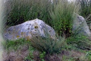 Neuville bosc oise menhir de la pierre aux coqs