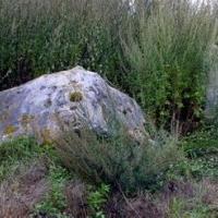 Neuville bosc oise menhir de la pierre aux coqs