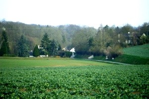 Neuville bosc oise petit allere les champarts